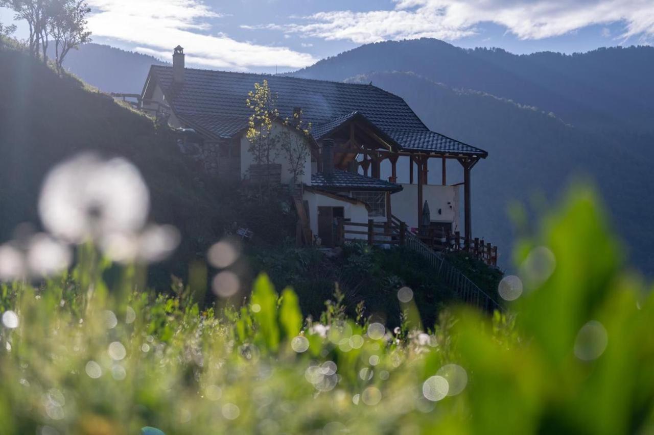 Zeneli Alpin Chalet Cerem Exterior photo